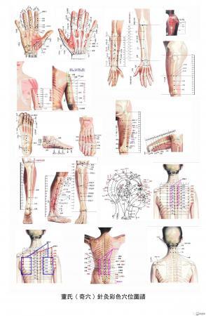 董氏奇穴彩图 - 中医针推外治版 - 爱爱医医学论坛