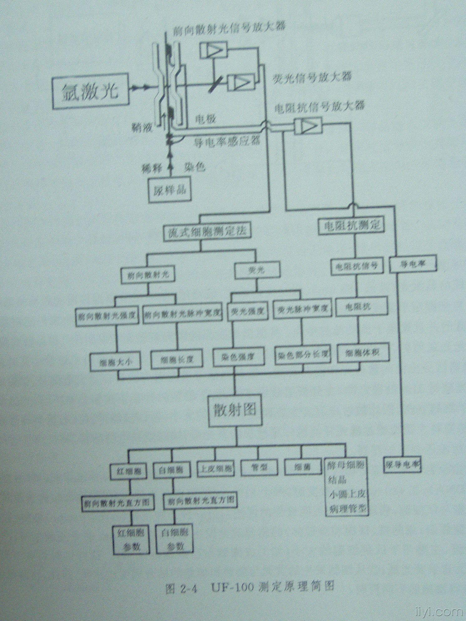 尿管型图片