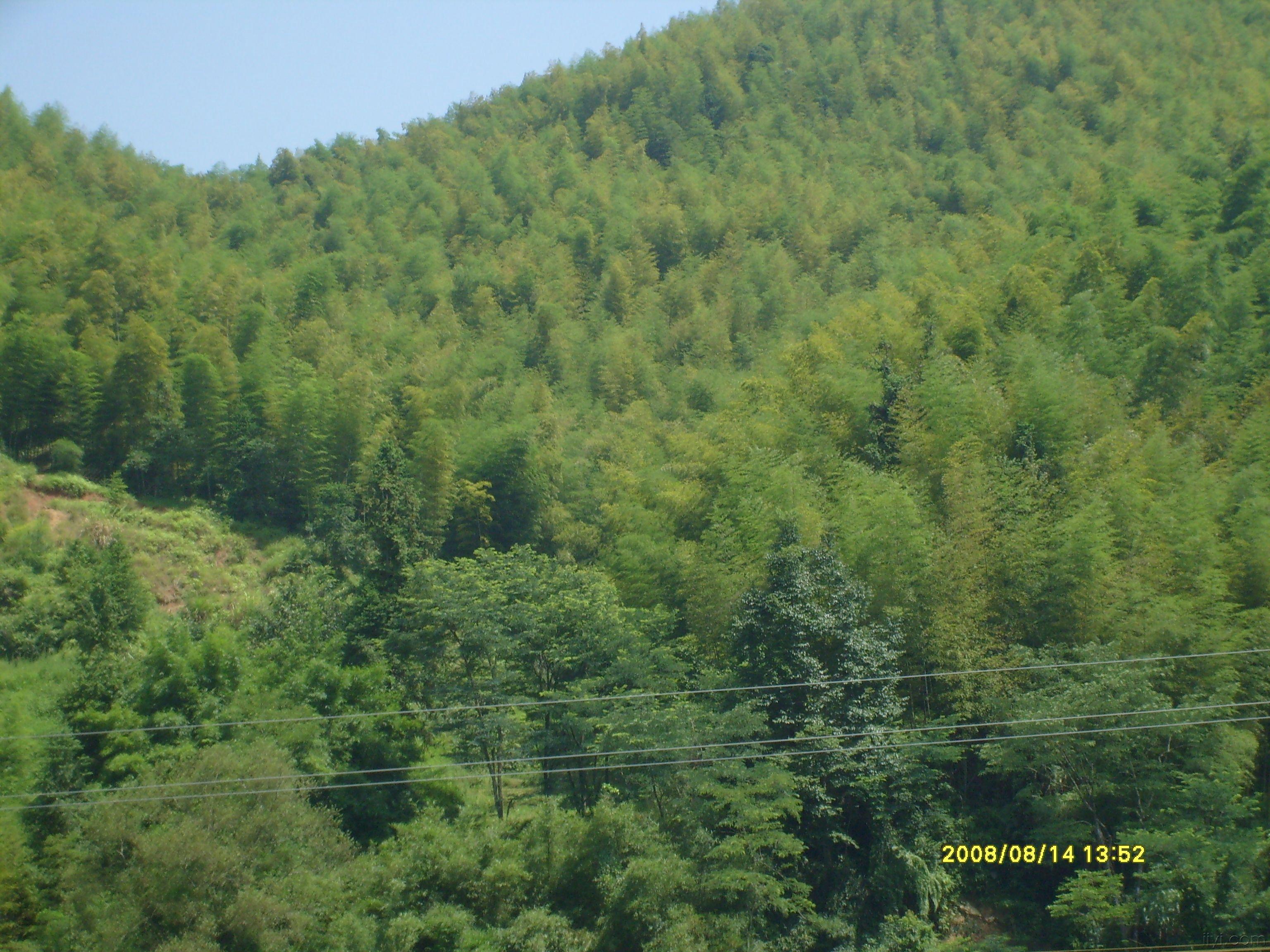 楼主ysp20092010-05-01 19:47:17   汕尾陆河    崛起的老区新县