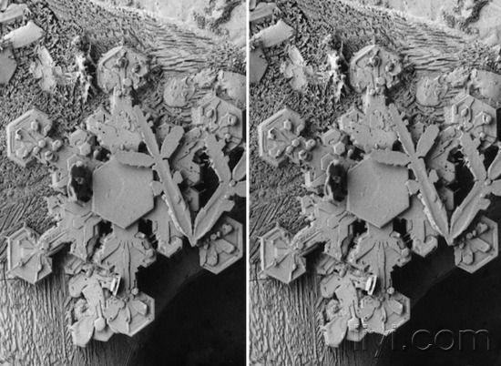 电子显微镜下拍摄3d雪花照片
