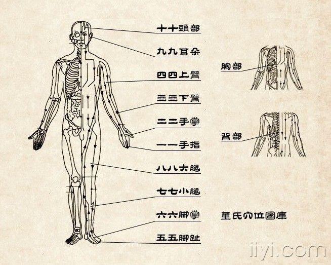 董氏奇穴图精品 多吉老师手工绘制