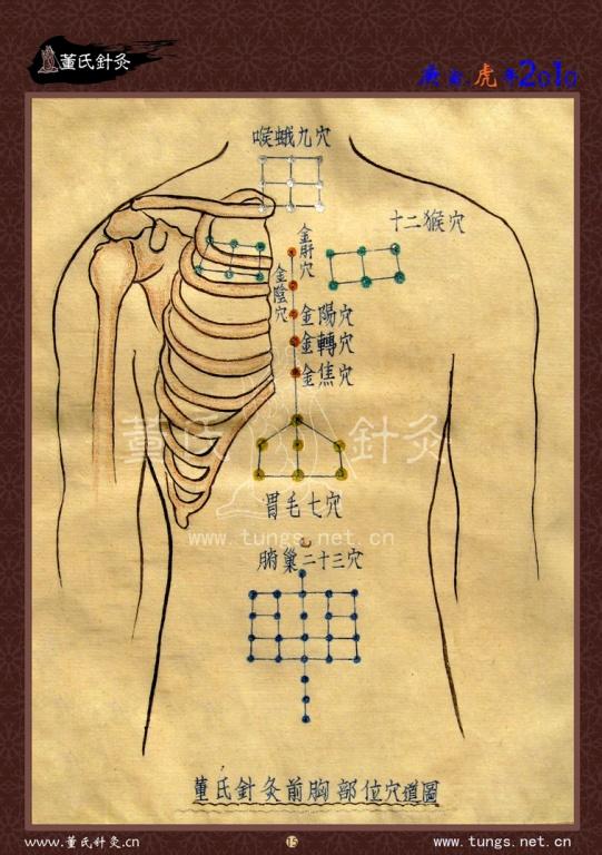 董氏奇穴图精品 多吉老师手工绘制 - 中医针推外治版