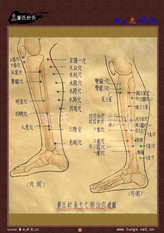 董氏奇穴图精品 多吉老师手工绘制