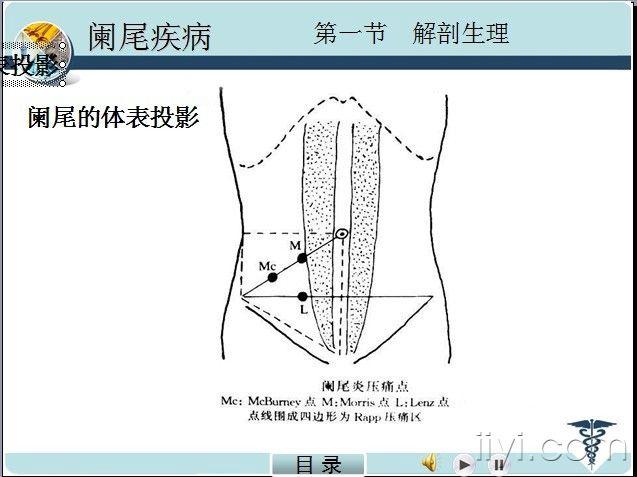 学习阑尾炎