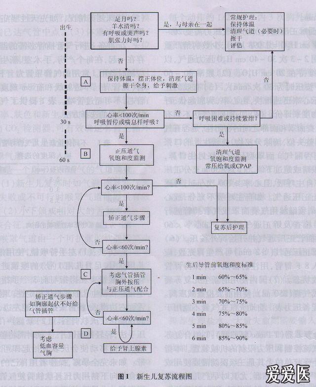 新生儿窒息复苏流程图(最新新生儿复苏指南,2011年北京修订)