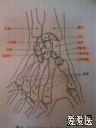 什么是腋位,穿胸位,蝶位?求图解,谢谢.