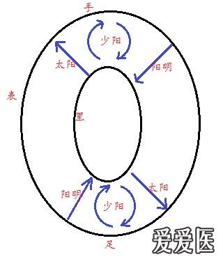 三阴三阳与六经病 内经中三阴三阳和六经的含义 论六经辨证的阴阳一体