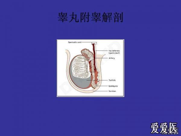 楼主nja24171682011-12-15 09:33:47   看看吧,只是一点有意思的