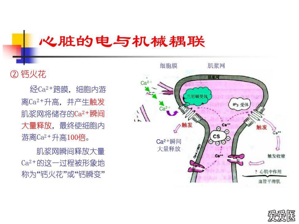 电机械偶联房室同步性与心功能关系