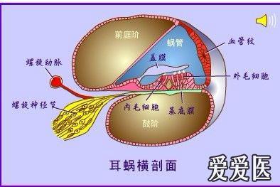 耳石症的手法复位