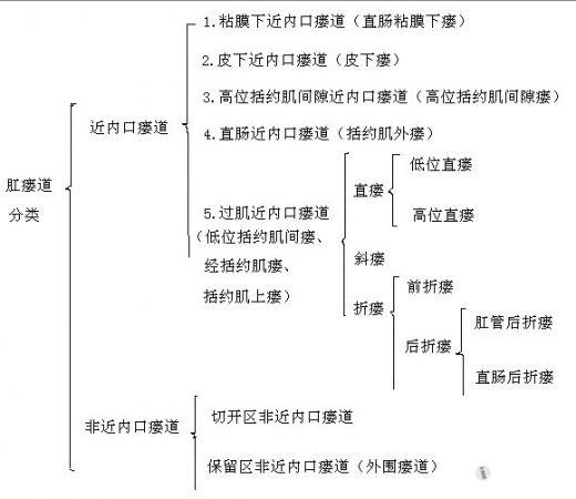 介绍一种新的肛瘘道分类法