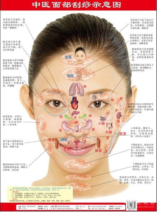 发灰,发暗,长痘等等)往往是体内病情变化的征兆,它是内在器官对外的一