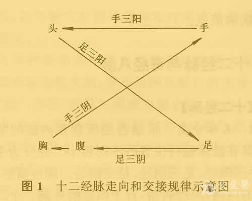 2,十二经络的走向歌诀:    手之三阴胸内手,手之三阳手外头