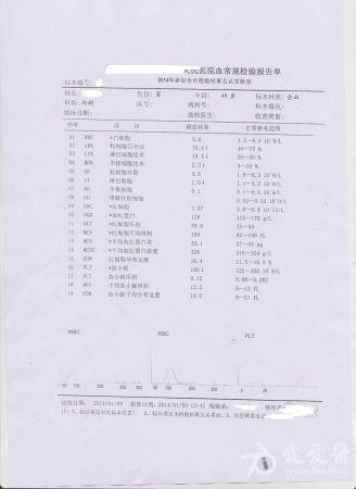 14010916336ba42d493ea8d859.jpg.thumb.jpg