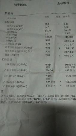 请教一个化验单 - 感染性与传染性疾病专业讨论版