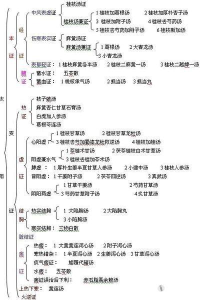 伤寒六经方证表 中医基础版 爱爱医医学论坛 爱爱医医学网