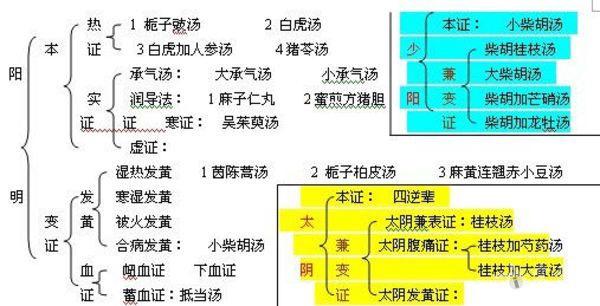 伤寒六经方证表