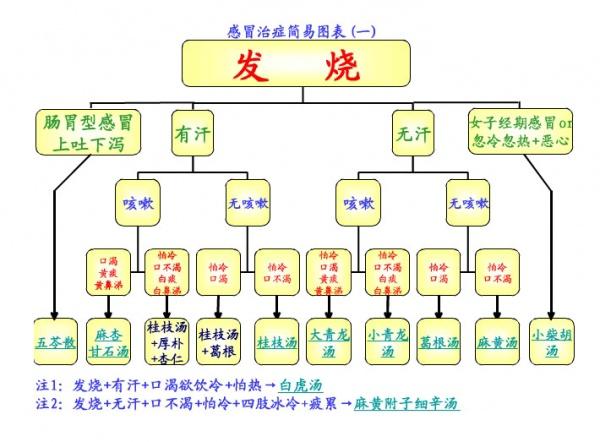 图解治感冒