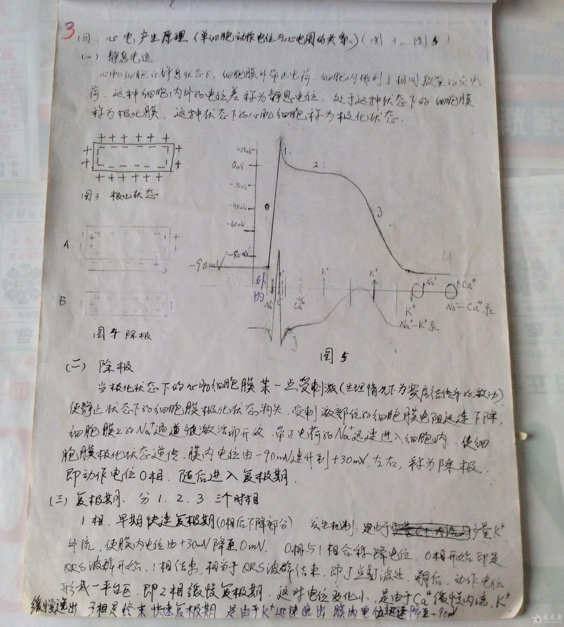 心电图基础知识【个人代教讲义】