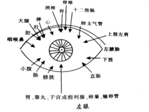 教大家目诊——通过看眼睛来预测疾病 - 中医基础版