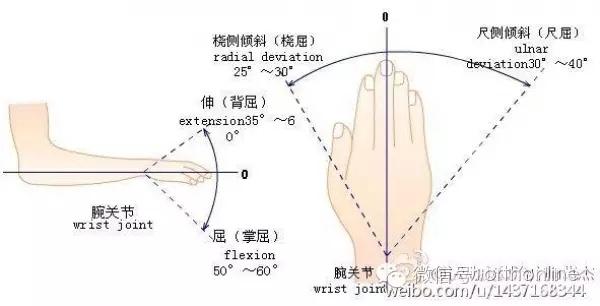 肩关节活动度的参考值: 前屈:就是前平举,最大可以举到完全竖直,大约