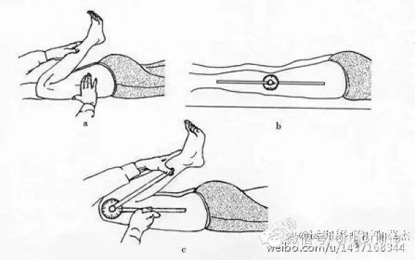 各关节活动度的参考值