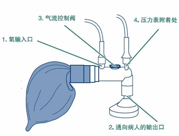 【分享】新生儿窒息复苏新观点及有关进展