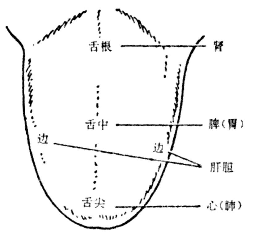 【资源】舌诊图集93张全彩 比原来的更完善