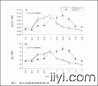 图3 男女在椎体部骨密度(bmd)和骨矿含量(bmc)的增龄性变化