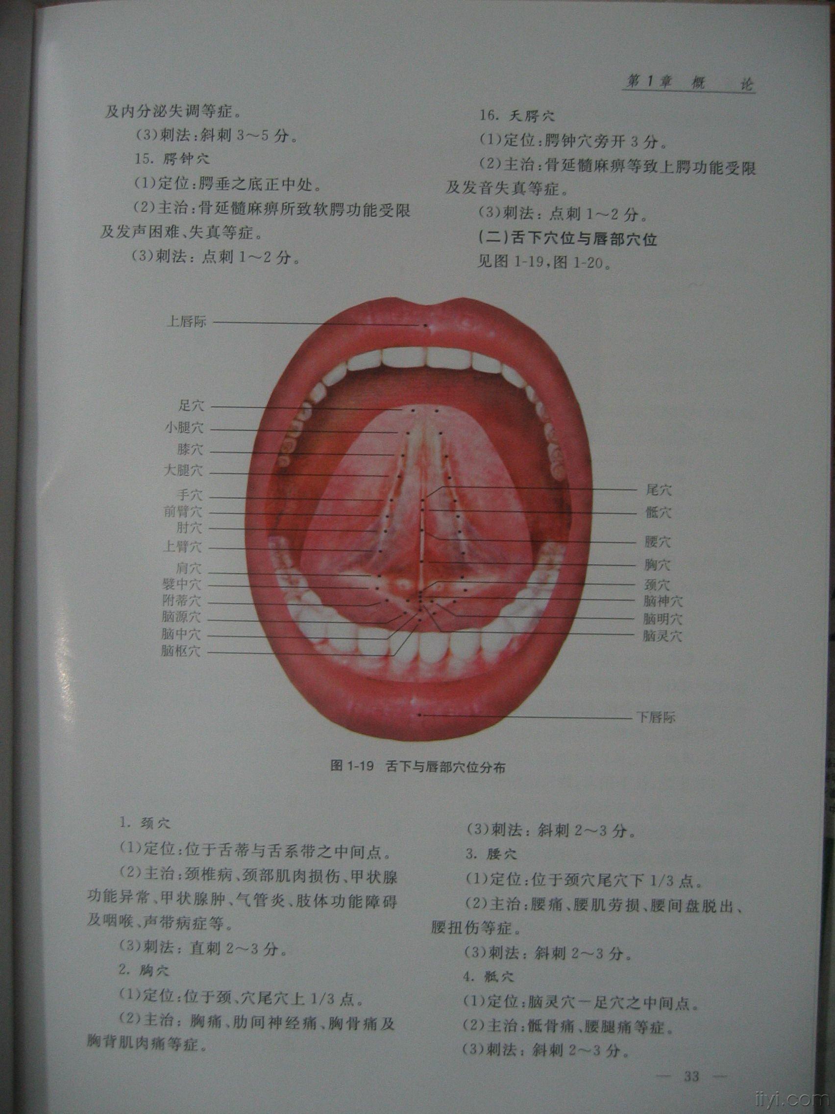 舌针图