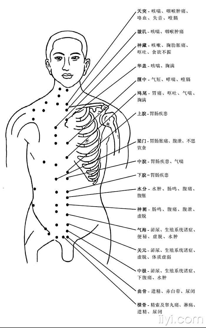 很好的带有文字说明的人体学位图片