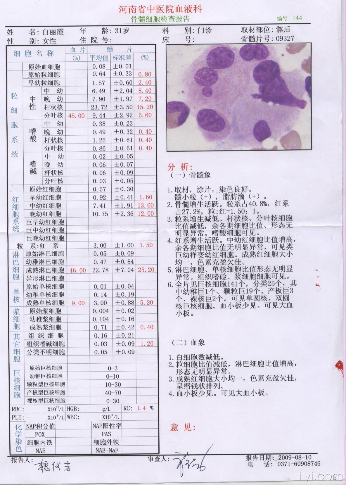 图54 正常骨髓象-血液学细胞学-医学