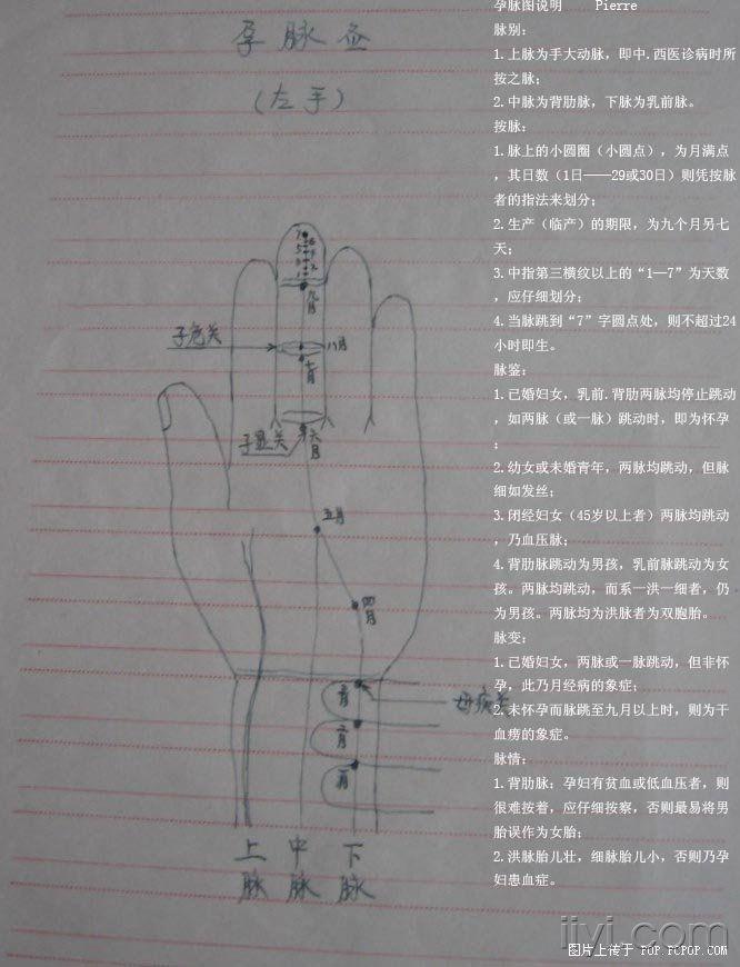 发个上世纪老中亲手画孕脉图