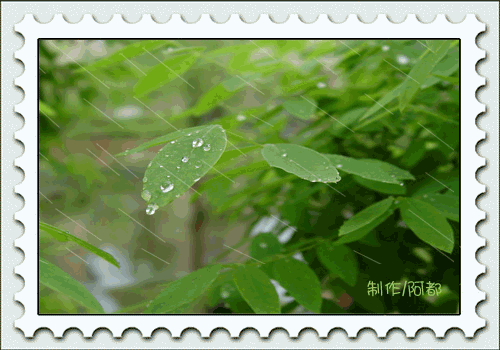 精美分割线(不定期更新)