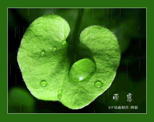 精美分割线(不定期更新)