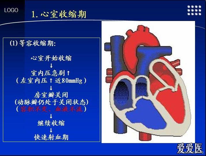 心室等容收缩期房室瓣是开还是关