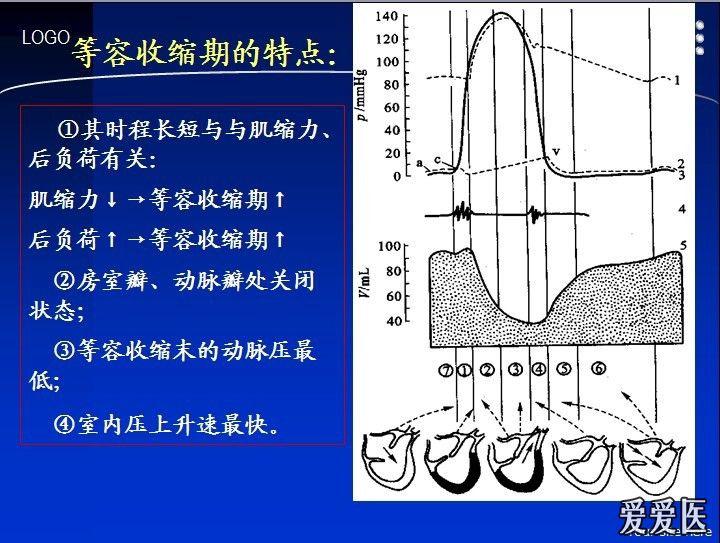 心室等容收缩期,房室瓣是开还是关?