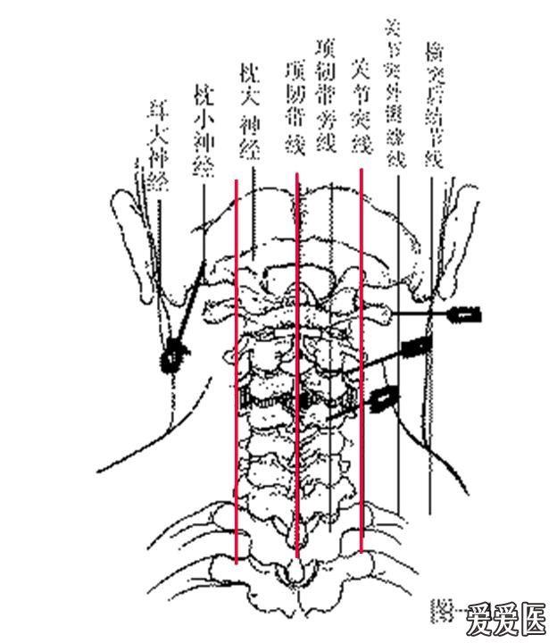 关于颈椎的错位与转位