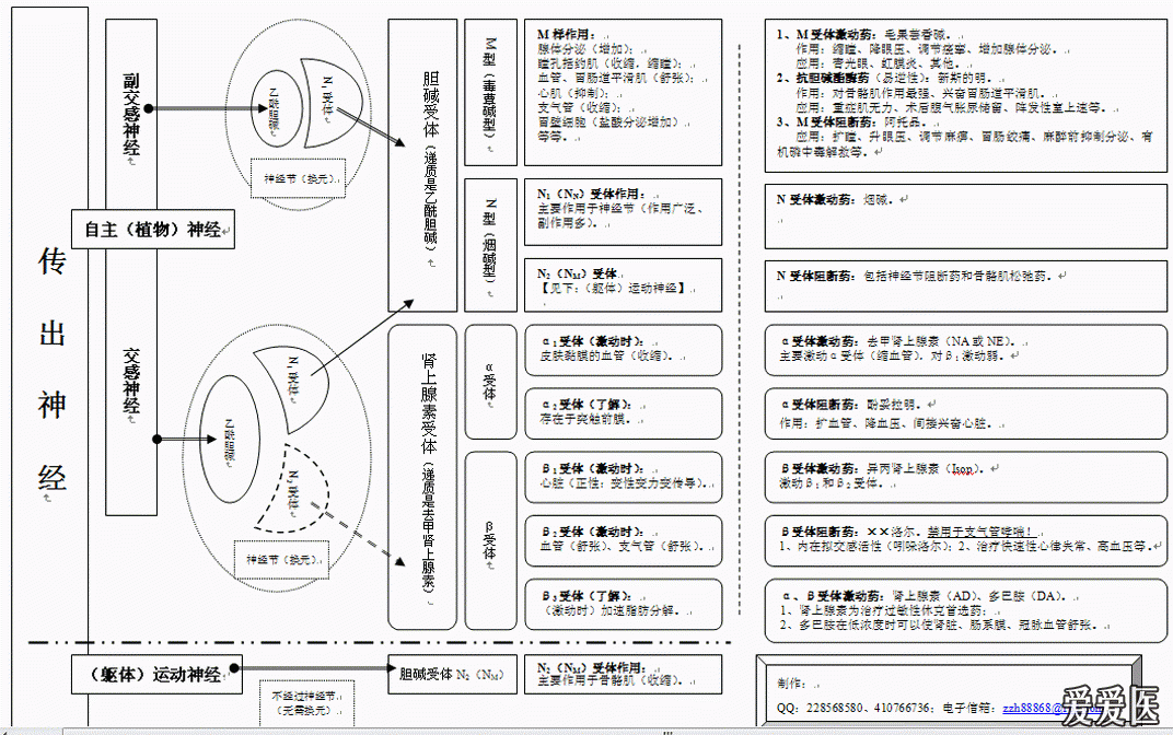 【药理学】传出神经系统药物图解