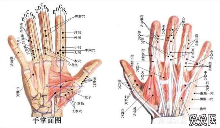 董氏奇穴有的穴位位置不一样,为什么?