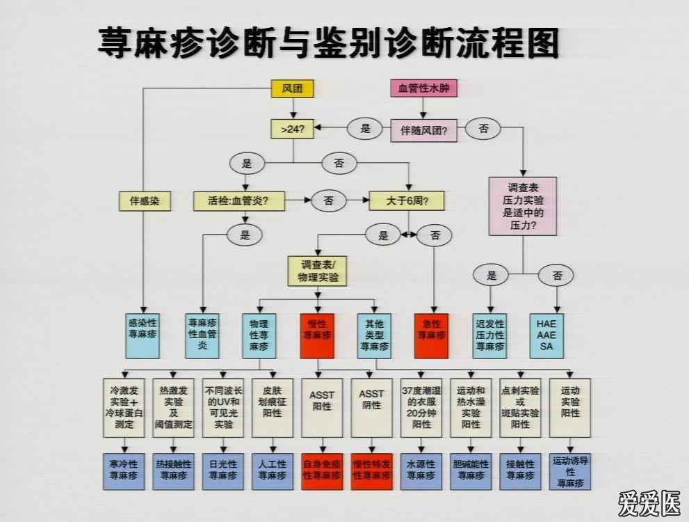 荨麻疹诊断治疗指南 - 皮肤及性传播疾病讨论版 - 医