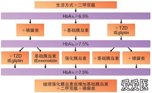 再谈2型糖尿病的管理策略胰岛素抵抗与胰岛素增敏剂