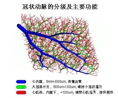 治疗冠心病时,冠状动脉微血管病变是否值得关注?