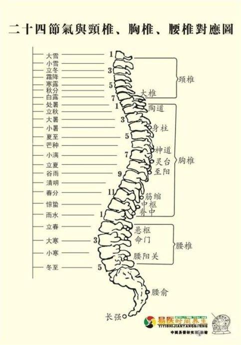 天人合一二十四节气与人体二十四节脊椎的对应关系