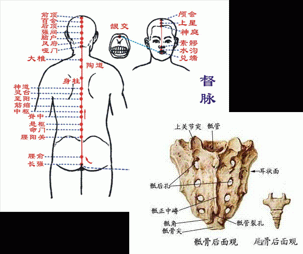 天大喜讯------腰俞穴麻醉合法了!