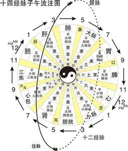 人体十二经络的流注--------方便学习与记忆 - 中医基础版 - 爱爱医