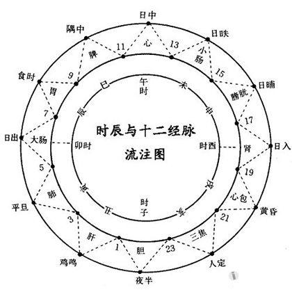 人体十二经络的流注-方便学习与记忆