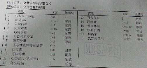 遇到一例金葡用vitek2compact药敏万古耐药