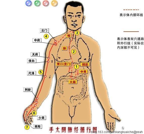 人体十二经络的流注方便学习与记忆