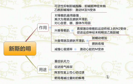 药学思维导图